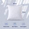 imageDOWNCOOL Throw Pillow Inserts Pack of 2  16 x 16 White Square Pillow Inserts for Sofa Bed  Indoor Decorative Couch Pillows1 Pack Feather