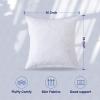 imageDOWNCOOL Throw Pillow Inserts Pack of 2  16 x 16 White Square Pillow Inserts for Sofa Bed  Indoor Decorative Couch Pillows1 Pack Feather