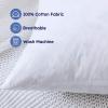imageDOWNCOOL Throw Pillow Inserts Pack of 2  16 x 16 White Square Pillow Inserts for Sofa Bed  Indoor Decorative Couch Pillows1 Pack Feather