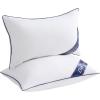 imageDOWNCOOL Throw Pillow Inserts Pack of 2  16 x 16 White Square Pillow Inserts for Sofa Bed  Indoor Decorative Couch Pillows2 Pack Down Alternative