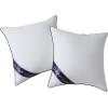 imageDOWNCOOL Throw Pillow Inserts Pack of 2  16 x 16 White Square Pillow Inserts for Sofa Bed  Indoor Decorative Couch Pillows2 Pack Down Alternative
