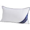 imageDOWNCOOL Throw Pillow Inserts Pack of 2  16 x 16 White Square Pillow Inserts for Sofa Bed  Indoor Decorative Couch Pillows1 Pack Down Alternative