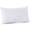 imageDOWNCOOL Throw Pillow Inserts Pack of 2  16 x 16 White Square Pillow Inserts for Sofa Bed  Indoor Decorative Couch Pillows1 Pack Feather