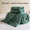imageDOWNCOOL Black Queen Quilt Bedding Set 3 Pieces Soft Lightweight Bedspread Coverlet Ultrasonic Microfiber Quilt Set All Season Queen Size Quilt90quotx96quot ampamp 2 Pillow Shams20quotx26quot2quot02 Green