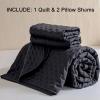 imageDOWNCOOL Black Queen Quilt Bedding Set 3 Pieces Soft Lightweight Bedspread Coverlet Ultrasonic Microfiber Quilt Set All Season Queen Size Quilt90quotx96quot ampamp 2 Pillow Shams20quotx26quot2quot02 Black